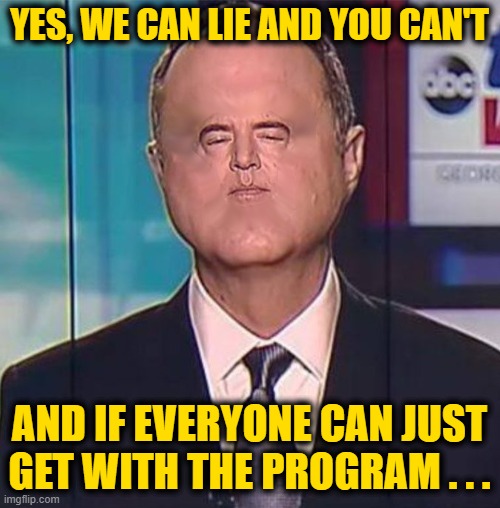 Adam Schiff | YES, WE CAN LIE AND YOU CAN'T AND IF EVERYONE CAN JUST GET WITH THE PROGRAM . . . | image tagged in adam schiff | made w/ Imgflip meme maker