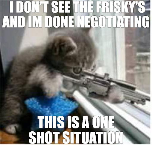 DONT PLAY WITH ME | I DON'T SEE THE FRISKY'S AND IM DONE NEGOTIATING; THIS IS A ONE SHOT SITUATION | image tagged in cats with guns | made w/ Imgflip meme maker