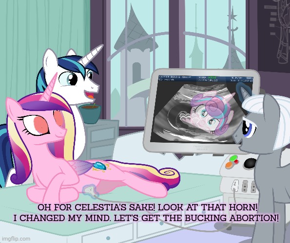 That's never gonna happen | OH FOR CELESTIA'S SAKE! LOOK AT THAT HORN! I CHANGED MY MIND. LET'S GET THE BUCKING ABORTION! | image tagged in my little pony,princess cadance,abortion,kill it with fire | made w/ Imgflip meme maker