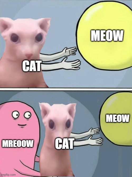 Cat be like | MEOW; CAT; MEOW; MREOOW; CAT | image tagged in memes,running away balloon | made w/ Imgflip meme maker