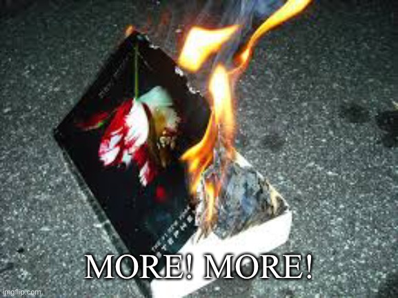 You did this | MORE! MORE! | image tagged in burning twilight book | made w/ Imgflip meme maker