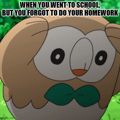 Homework | WHEN YOU WENT TO SCHOOL, BUT YOU FORGOT TO DO YOUR HOMEWORK | image tagged in rowlet meme template | made w/ Imgflip meme maker
