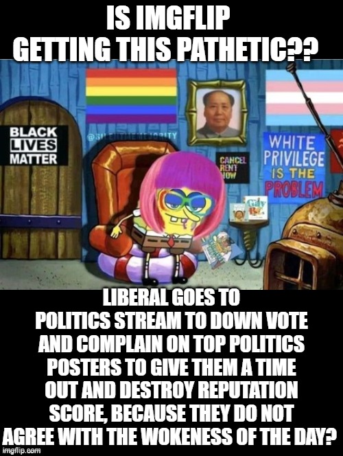 Is IMGFLIP getting this pathetic?? |  IS IMGFLIP GETTING THIS PATHETIC?? LIBERAL GOES TO POLITICS STREAM TO DOWN VOTE AND COMPLAIN ON TOP POLITICS POSTERS TO GIVE THEM A TIME OUT AND DESTROY REPUTATION SCORE, BECAUSE THEY DO NOT AGREE WITH THE WOKENESS OF THE DAY? | image tagged in morons,idiots,stupid people,stupid liberals,woke | made w/ Imgflip meme maker