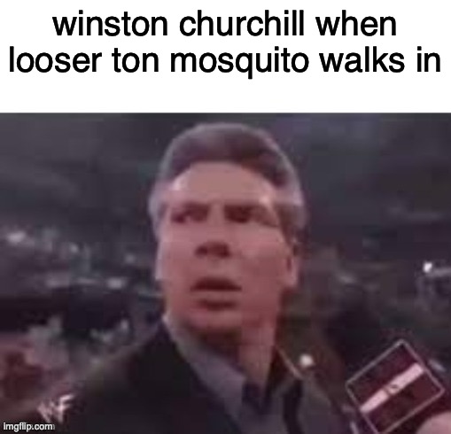 winston | winston churchill when looser ton mosquito walks in | image tagged in x when x walks in | made w/ Imgflip meme maker