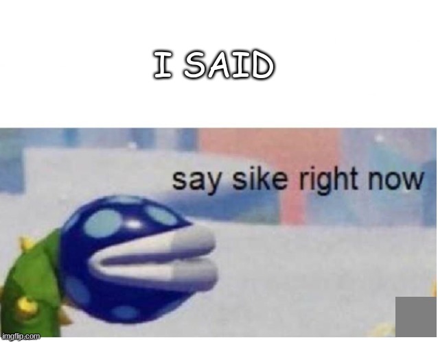 say sike right now | I SAID | image tagged in say sike right now | made w/ Imgflip meme maker