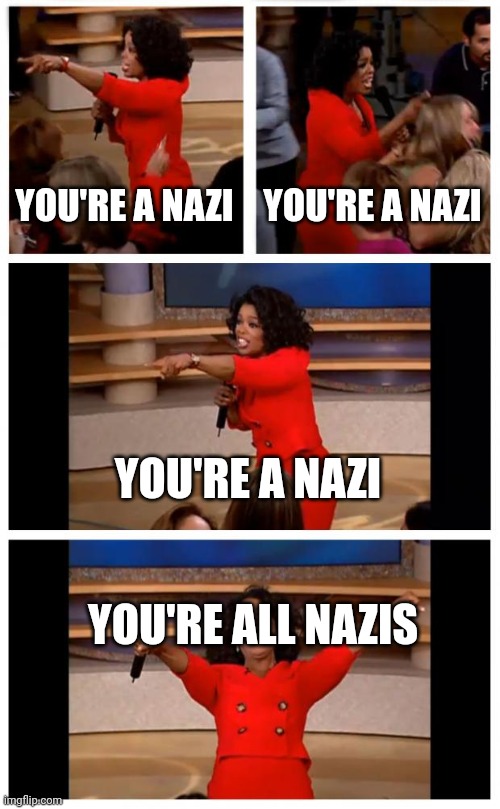 Oprah You Get A Car Everybody Gets A Car Meme | YOU'RE A NAZI; YOU'RE A NAZI; YOU'RE A NAZI; YOU'RE ALL NAZIS | image tagged in memes,oprah you get a car everybody gets a car | made w/ Imgflip meme maker