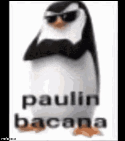 Paulin | made w/ Imgflip meme maker