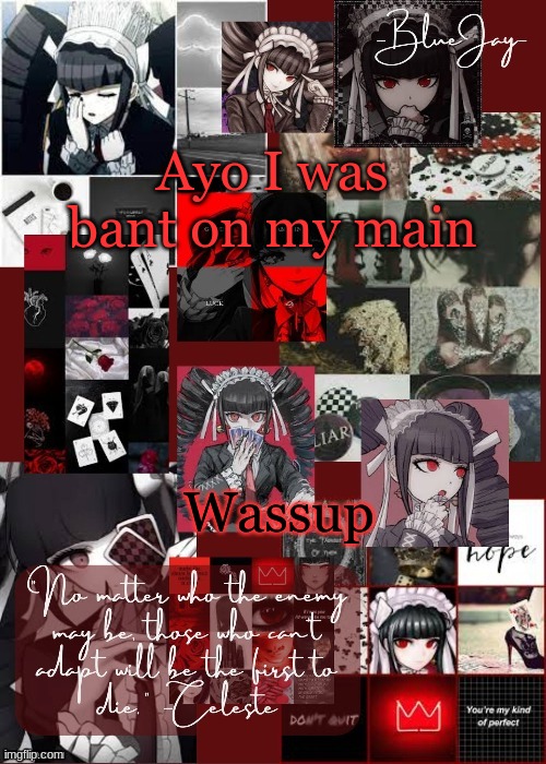 gracias cinny | Ayo I was bant on my main; Wassup | image tagged in jaiden celeste temp | made w/ Imgflip meme maker