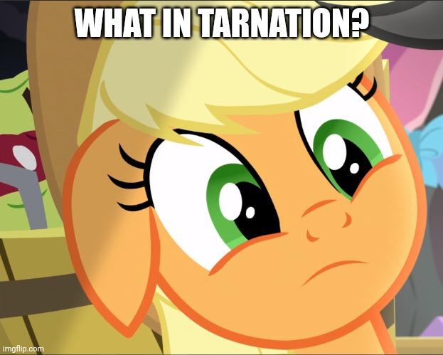 WHAT IN TARNATION? | made w/ Imgflip meme maker