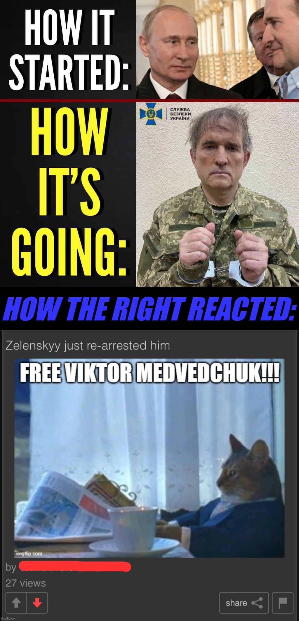 Meet Viktor Medvedchuk: Putin ally, short-lister for Ukrainian puppet, now arrested for treason. Putin stans hate it! | HOW THE RIGHT REACTED: | image tagged in viktor medvedchuk,ukraine,ukrainian lives matter,putin,traitor,treason | made w/ Imgflip meme maker