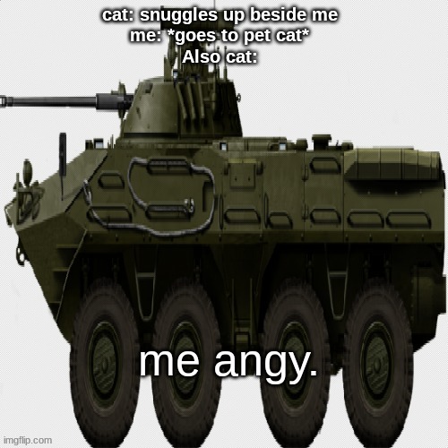 why cat, whyyyyyyyyyy | cat: snuggles up beside me
me: *goes to pet cat*
Also cat: | image tagged in angy tank | made w/ Imgflip meme maker