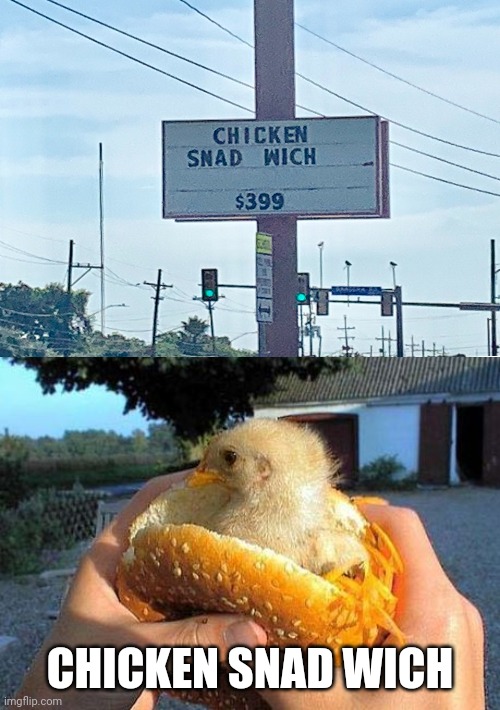 Chicken Snad Wich | CHICKEN SNAD WICH | image tagged in chicken sandwich,you had one job,memes,meme,joke,restaurant sign | made w/ Imgflip meme maker
