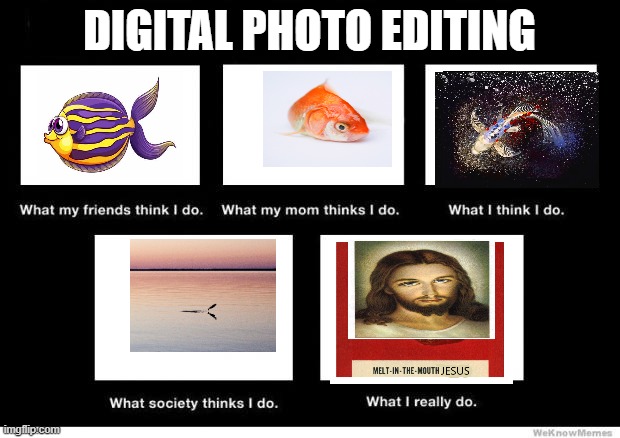 What I really do | DIGITAL PHOTO EDITING | image tagged in what i really do | made w/ Imgflip meme maker