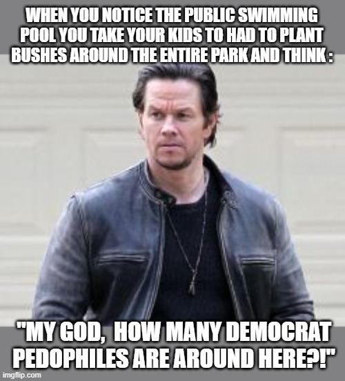 This really happened | WHEN YOU NOTICE THE PUBLIC SWIMMING POOL YOU TAKE YOUR KIDS TO HAD TO PLANT BUSHES AROUND THE ENTIRE PARK AND THINK :; "MY GOD,  HOW MANY DEMOCRAT PEDOPHILES ARE AROUND HERE?!" | image tagged in democratic party,pedophiles,sad,political meme,funny memes,stupid liberals | made w/ Imgflip meme maker