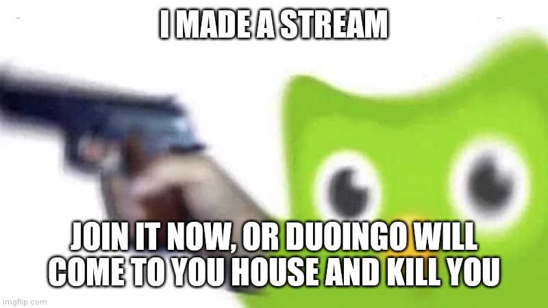 duolingo gun | I MADE A STREAM; JOIN IT NOW, OR DUOINGO WILL COME TO YOU HOUSE AND KILL YOU | image tagged in duolingo gun | made w/ Imgflip meme maker