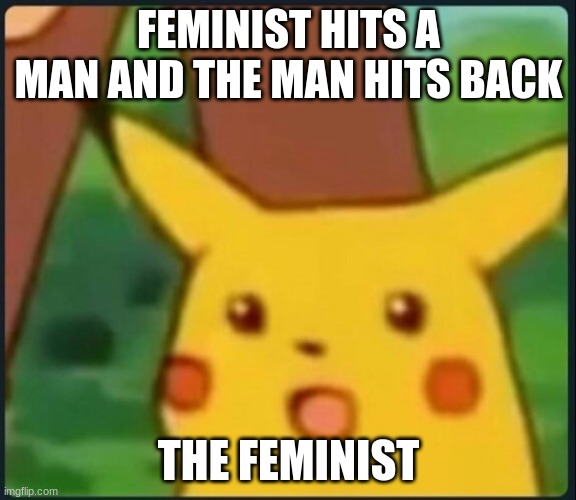 Surprised Pikachu | FEMINIST HITS A MAN AND THE MAN HITS BACK; THE FEMINIST | image tagged in surprised pikachu | made w/ Imgflip meme maker