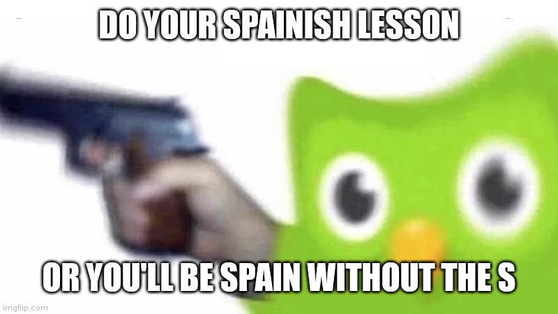 duolingo gun | DO YOUR SPAINISH LESSON; OR YOU'LL BE SPAIN WITHOUT THE S | image tagged in duolingo gun | made w/ Imgflip meme maker