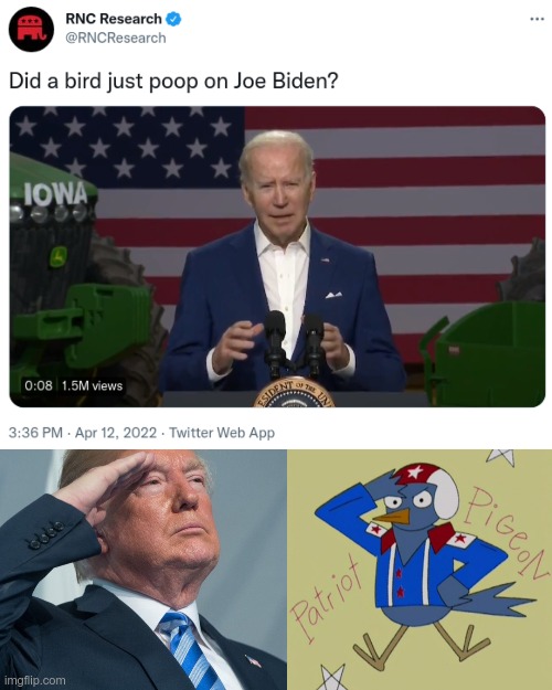 His mission was to increase Joe's IQ - mission accomplished | image tagged in joe biden,birds,karma | made w/ Imgflip meme maker