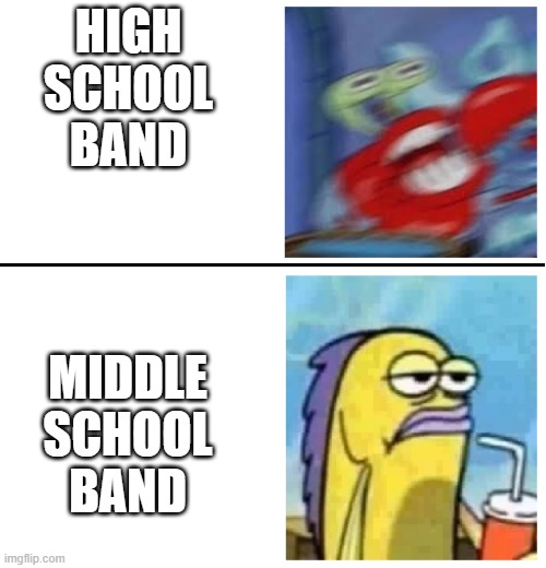 excited vs bored | HIGH SCHOOL BAND; MIDDLE SCHOOL BAND | image tagged in excited vs bored | made w/ Imgflip meme maker