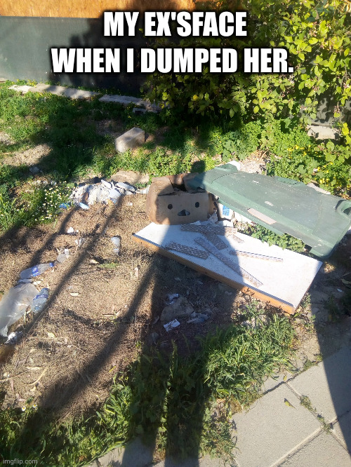 my ex's face when I dumped her | MY EX'SFACE WHEN I DUMPED HER. | image tagged in my ex's face when i dumped her | made w/ Imgflip meme maker