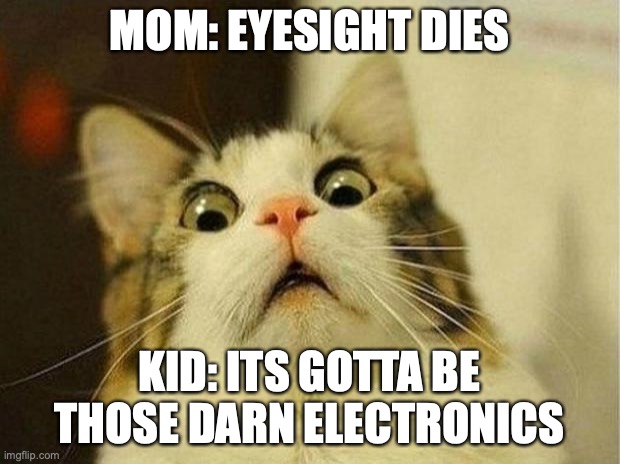 Wait... the places have switched? | MOM: EYESIGHT DIES; KID: ITS GOTTA BE THOSE DARN ELECTRONICS | image tagged in memes,scared cat,mom,kid,every mother ever,electronics | made w/ Imgflip meme maker