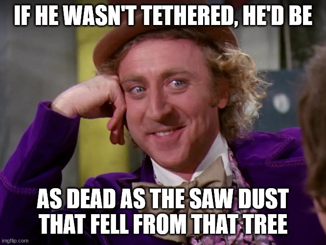 IF HE WASN'T TETHERED, HE'D BE AS DEAD AS THE SAW DUST THAT FELL FROM THAT TREE | made w/ Imgflip meme maker