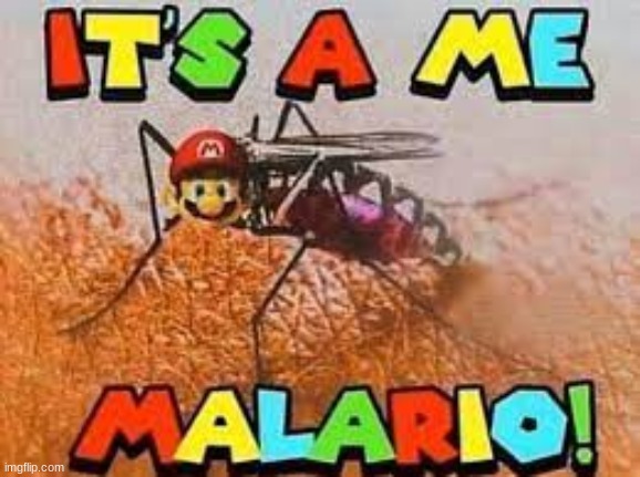 malario | image tagged in mario,mosquito,funny,dank memes | made w/ Imgflip meme maker
