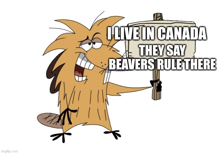 ok yes thats kinda true but wrong | I LIVE IN CANADA; THEY SAY BEAVERS RULE THERE | image tagged in norbert with sign | made w/ Imgflip meme maker