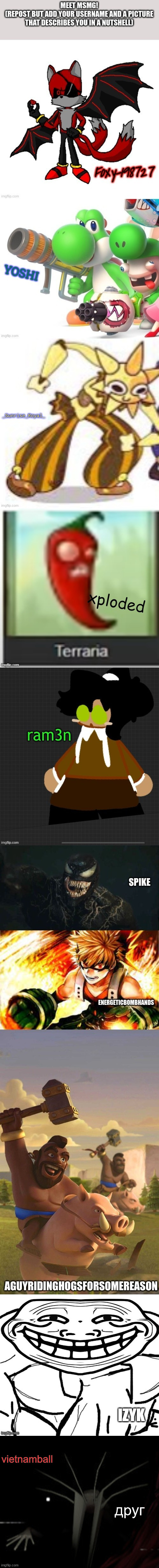 д р у г | vietnamball; друг | made w/ Imgflip meme maker