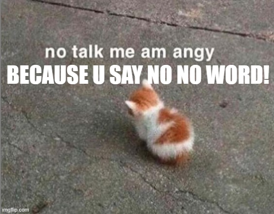 no talk me am angy | BECAUSE U SAY NO NO WORD! | image tagged in no talk me am angy | made w/ Imgflip meme maker