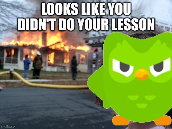 duolingo is mad | LOOKS LIKE YOU DIDN'T DO YOUR LESSON | image tagged in disaster girl | made w/ Imgflip meme maker