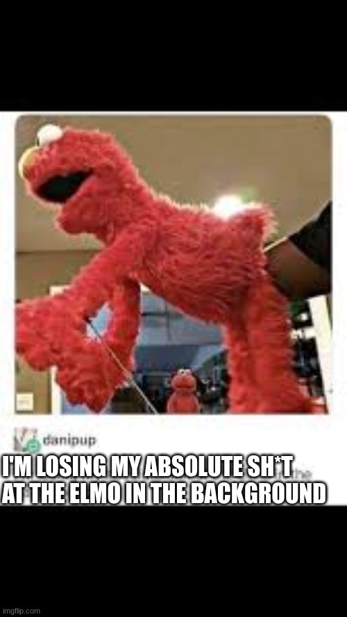 elmo | I'M LOSING MY ABSOLUTE SH*T AT THE ELMO IN THE BACKGROUND | image tagged in elmo,memes,funny | made w/ Imgflip meme maker
