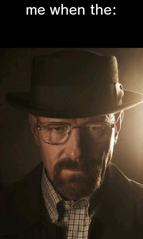 Walter White | me when the: | image tagged in walter white | made w/ Imgflip meme maker