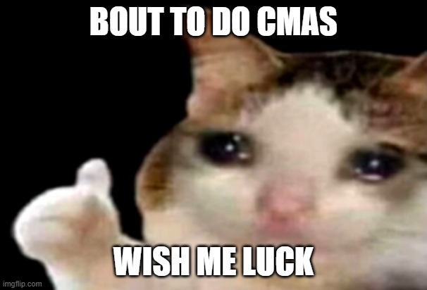 Image title | BOUT TO DO CMAS; WISH ME LUCK | image tagged in sad cat thumbs up | made w/ Imgflip meme maker