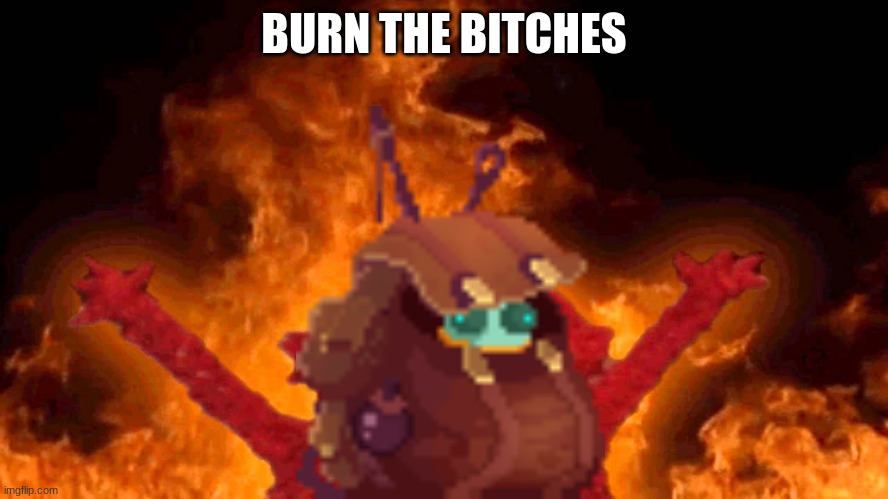 Guillian Bag Burns Bitches | BURN THE BITCHES | image tagged in elmo fire,guillian,burnt | made w/ Imgflip meme maker