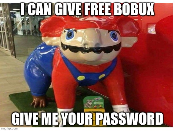 Freee bobux | I CAN GIVE FREE BOBUX; GIVE ME YOUR PASSWORD | image tagged in you had one job | made w/ Imgflip meme maker