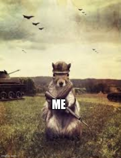 Soldier squirrel | ME | image tagged in soldier squirrel | made w/ Imgflip meme maker