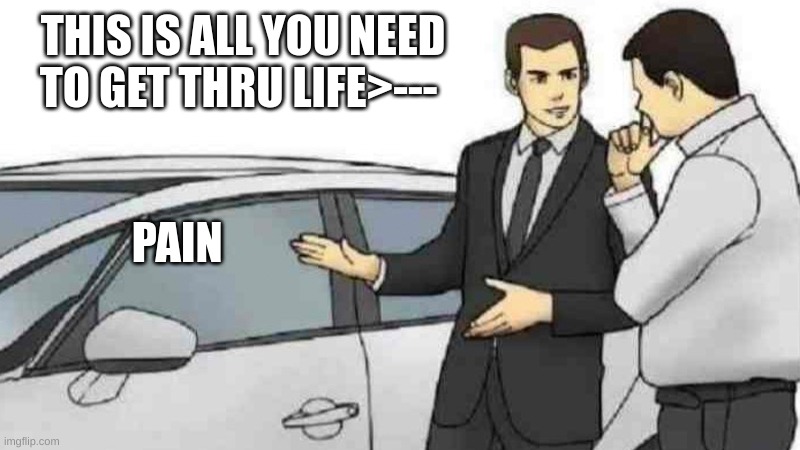 Car Salesman Slaps Roof Of Car Meme | THIS IS ALL YOU NEED TO GET THRU LIFE>---; PAIN | image tagged in memes,car salesman slaps roof of car,pain | made w/ Imgflip meme maker
