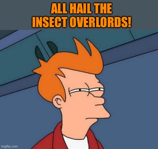 Futurama Fry Meme | ALL HAIL THE INSECT OVERLORDS! | image tagged in memes,futurama fry | made w/ Imgflip meme maker