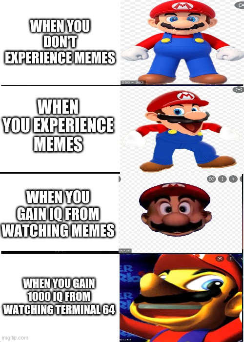 MARIO | WHEN YOU DON'T EXPERIENCE MEMES; WHEN YOU EXPERIENCE MEMES; WHEN YOU GAIN IQ FROM WATCHING MEMES; WHEN YOU GAIN 1000 IQ FROM WATCHING TERMINAL 64 | image tagged in memes,expanding brain | made w/ Imgflip meme maker