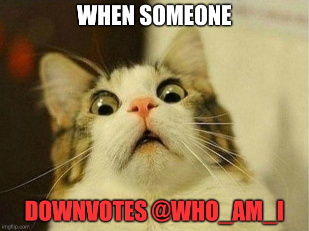 Scared Cat | WHEN SOMEONE; DOWNVOTES @WHO_AM_I | image tagged in memes,scared cat,who_am_i,fun | made w/ Imgflip meme maker