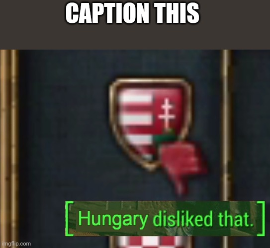Hungary disliked that | CAPTION THIS | image tagged in hungary disliked that | made w/ Imgflip meme maker