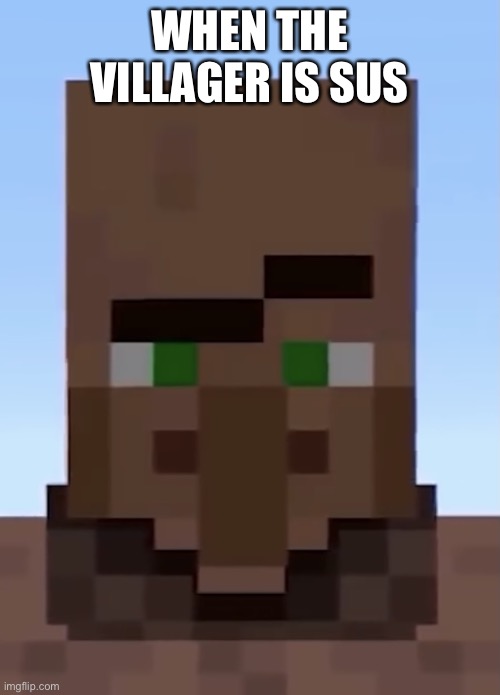 Among us villager sus raising eyebrow be careful | WHEN THE VILLAGER IS SUS | image tagged in villager raising eyebrow | made w/ Imgflip meme maker