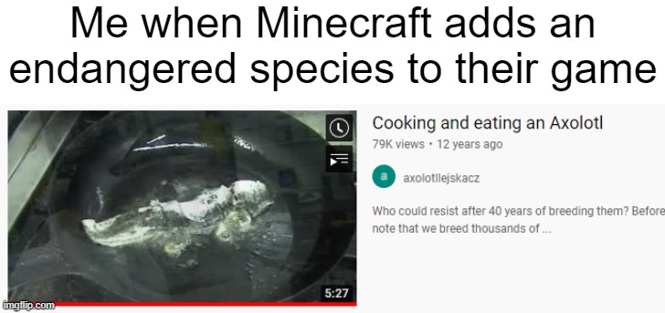 Minecraft | Me when Minecraft adds an endangered species to their game | image tagged in minecraft,axolotl | made w/ Imgflip meme maker