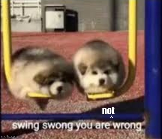 swing swong | ^ not | image tagged in swing swong | made w/ Imgflip meme maker