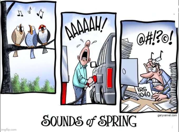 It's spring time birds bills and taxes | image tagged in bireds,billes,taxes | made w/ Imgflip meme maker