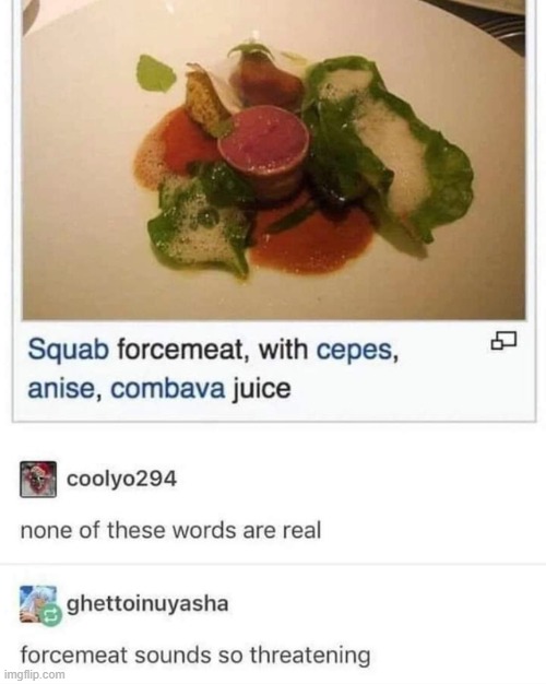 forcemeat | made w/ Imgflip meme maker