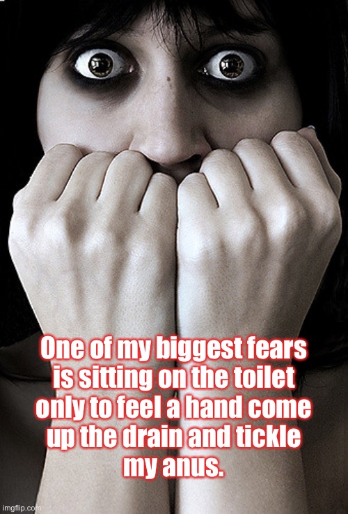 My fears | One of my biggest fears
is sitting on the toilet
only to feel a hand come
up the drain and tickle
my anus. | image tagged in fear,toilet,drain,tickle,anus,funny | made w/ Imgflip meme maker