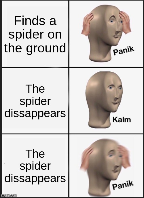 Panik! | Finds a spider on the ground; The spider dissappears; The spider dissappears | image tagged in memes,panik kalm panik | made w/ Imgflip meme maker