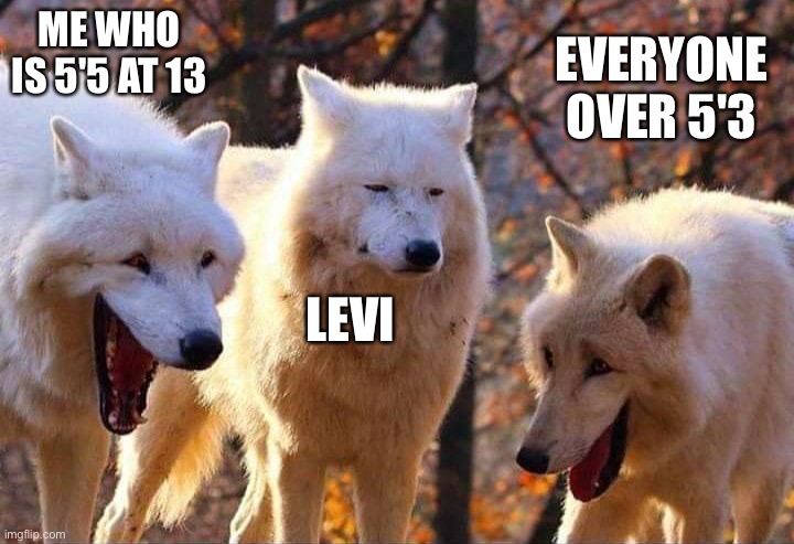 Laughing wolf | ME WHO IS 5'5 AT 13 LEVI EVERYONE OVER 5'3 | image tagged in laughing wolf | made w/ Imgflip meme maker
